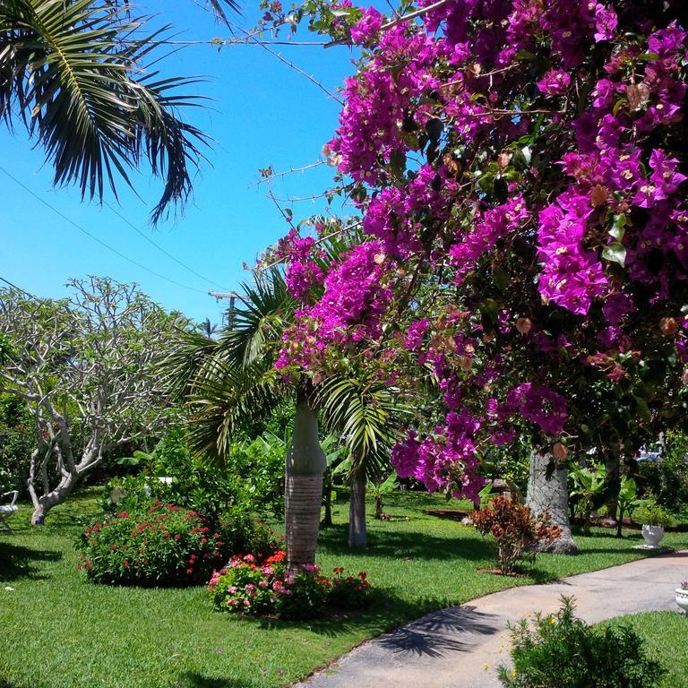Royal Palms Hotel Hamilton City Esterno foto